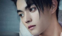 圈内八卦爆料许凯白鹿,甜蜜互动引网友热议