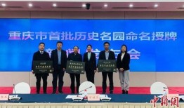 重庆市区新闻爆料